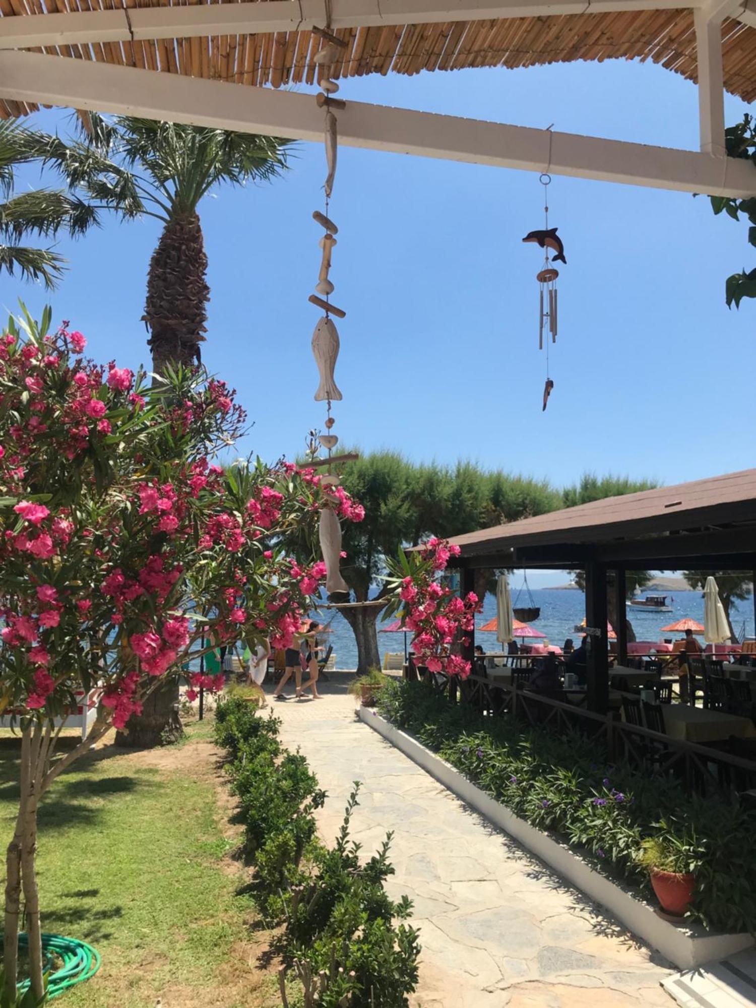 Yilmaz Hotel Ortakent Exterior photo